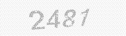Visual security code — type the characters shown in the image